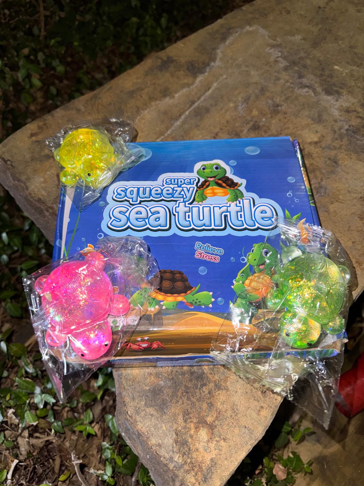Squishy Turtle