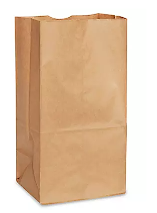 BROWN PAPAER BAG